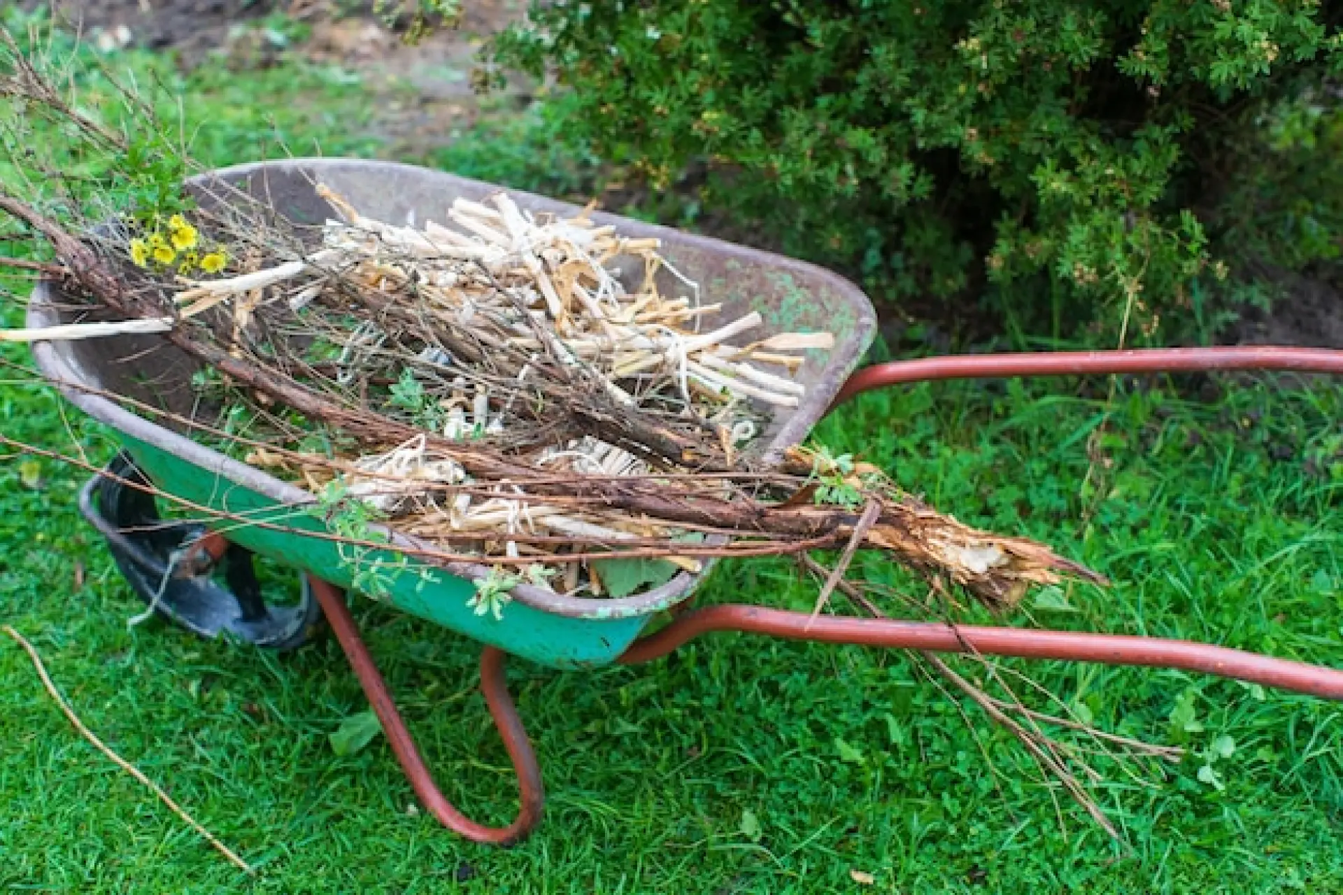 Garage Clearance - Price of House Clearance Services