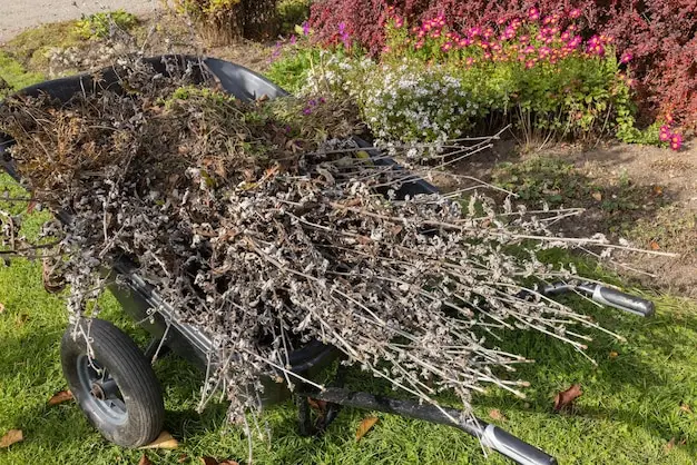 Garden Clearance Royston