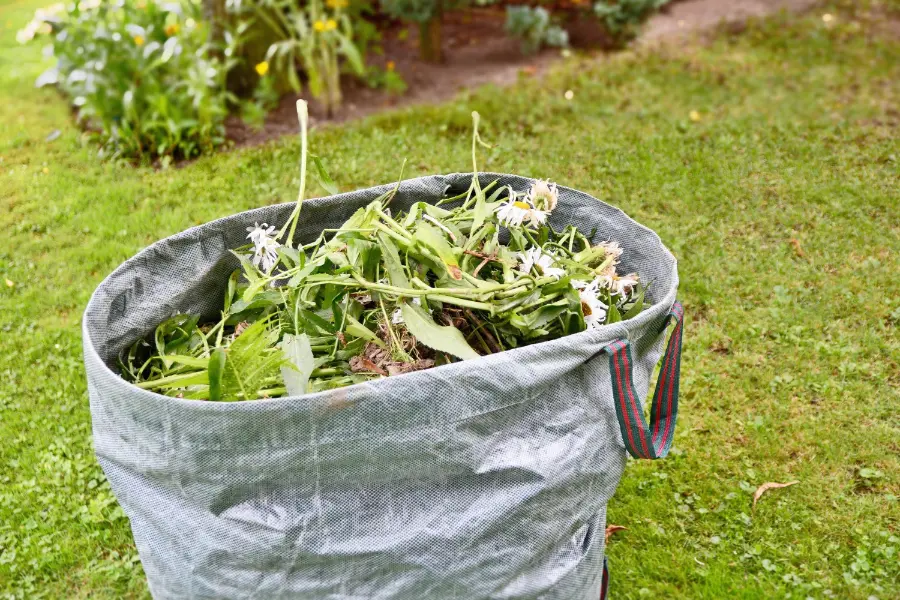 Garden Refuse