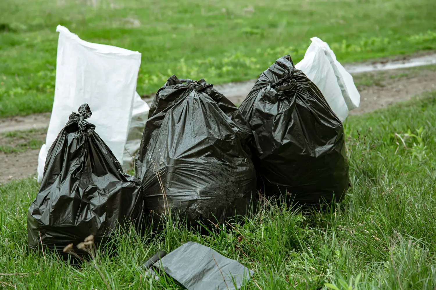 House Clearance Services in Cambridge